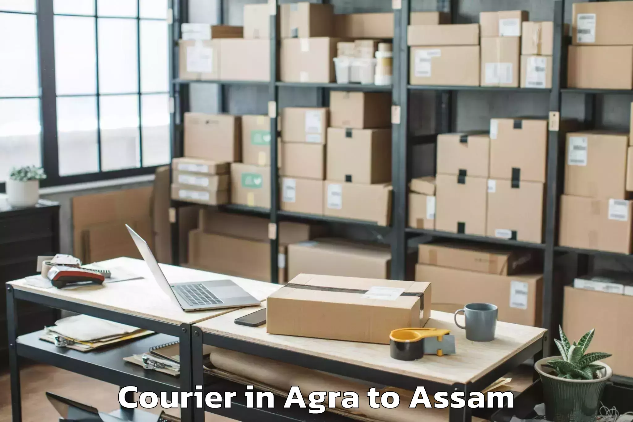 Hassle-Free Agra to Hajo Courier